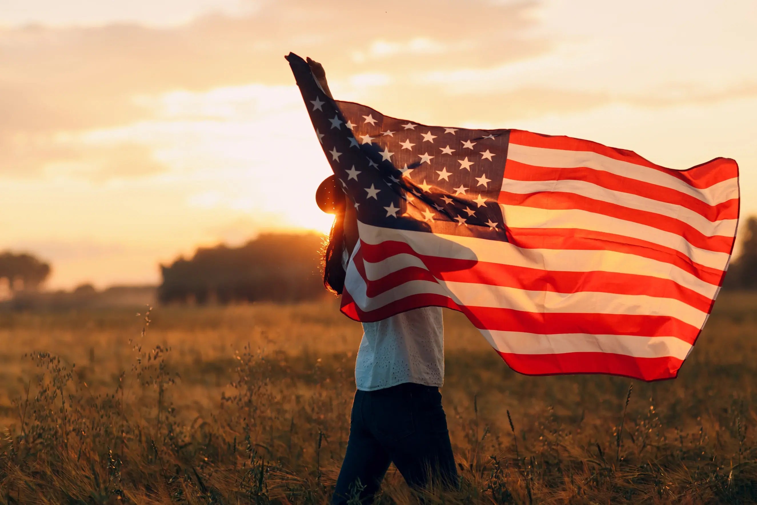 Header image for An American Optimism
