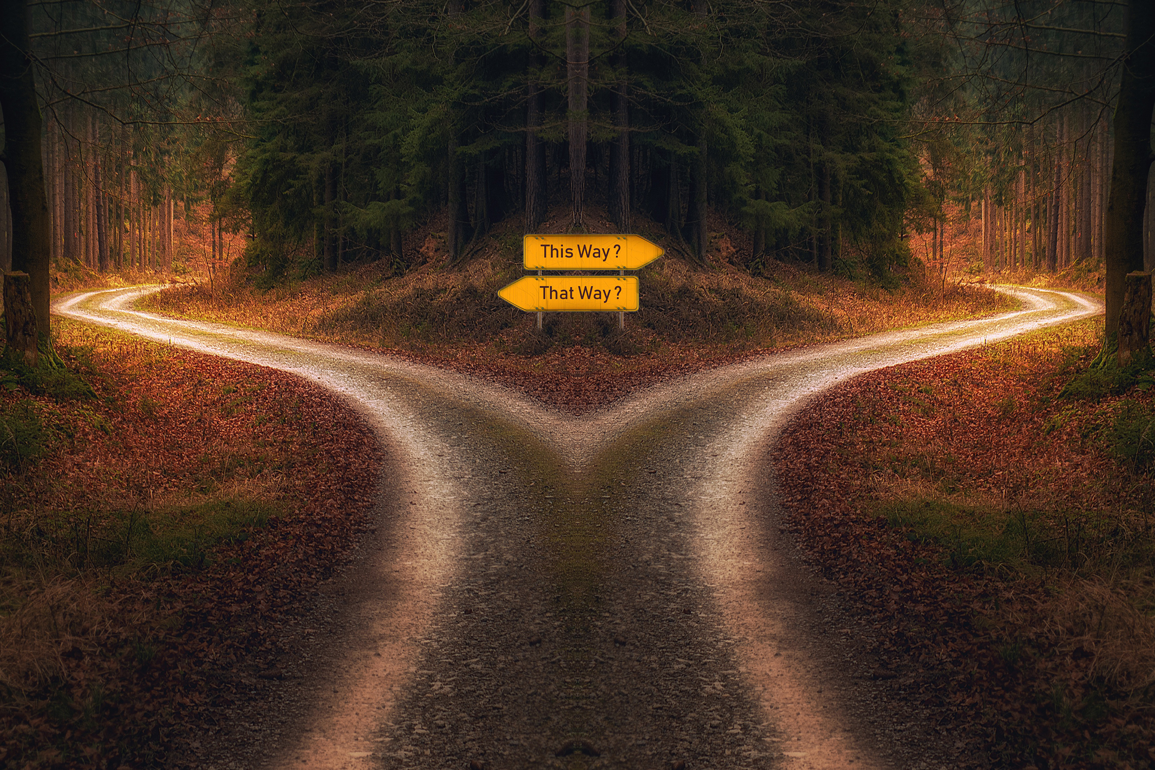 Header image for I Choose Optimism