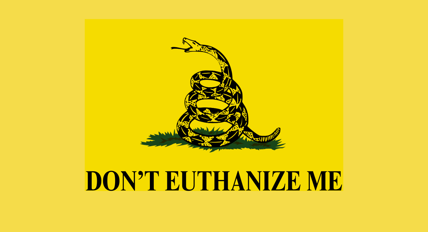 Header image for Surviving The Death of Venture Capital