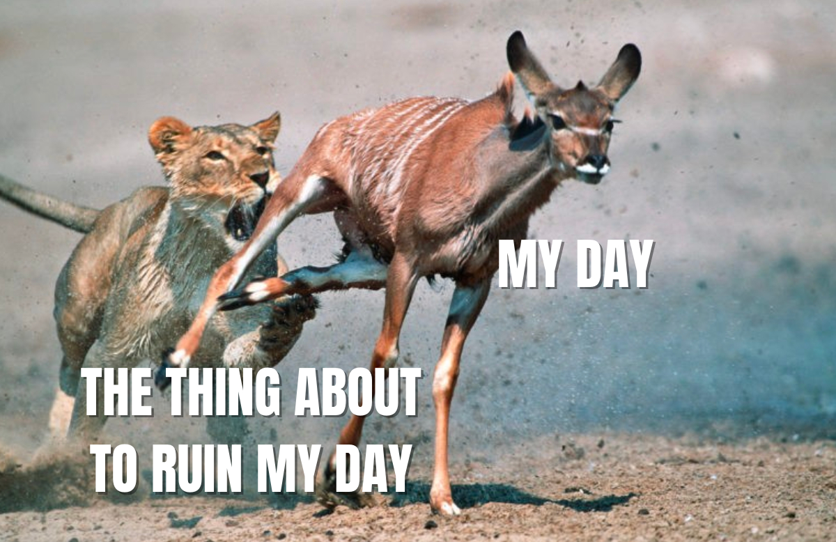 Header image for The Natural Selection of Time