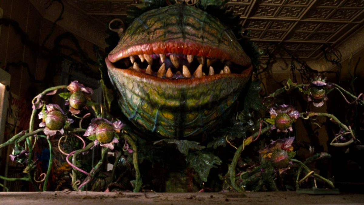 Header image for VC Contagion